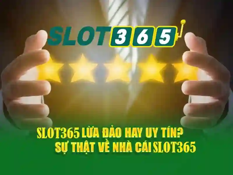 Slot365: Đánh giá và kinh nghiệm chơi slot trực tuyến