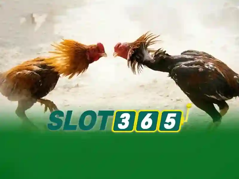 Các tính năng nổi bật của Slot365