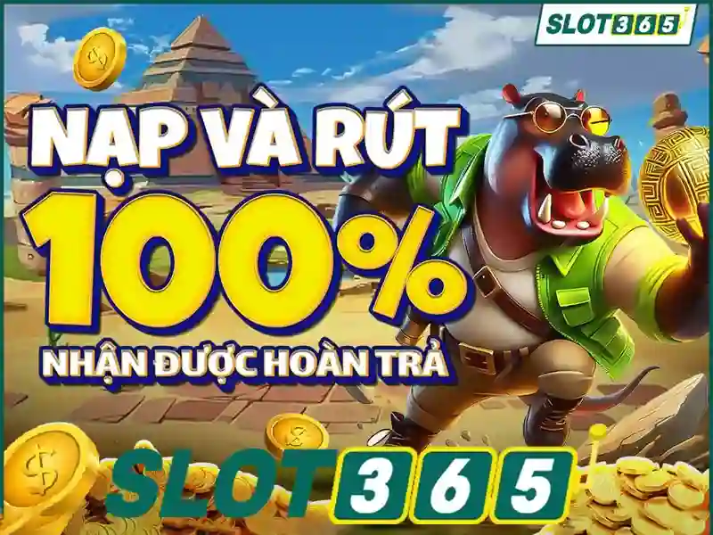 Phần thưởng và khuyến mãi