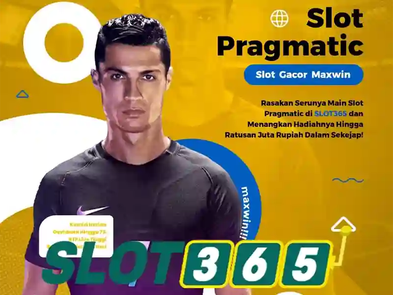 Slot365: Đánh giá nền tảng cá cược trực tuyến