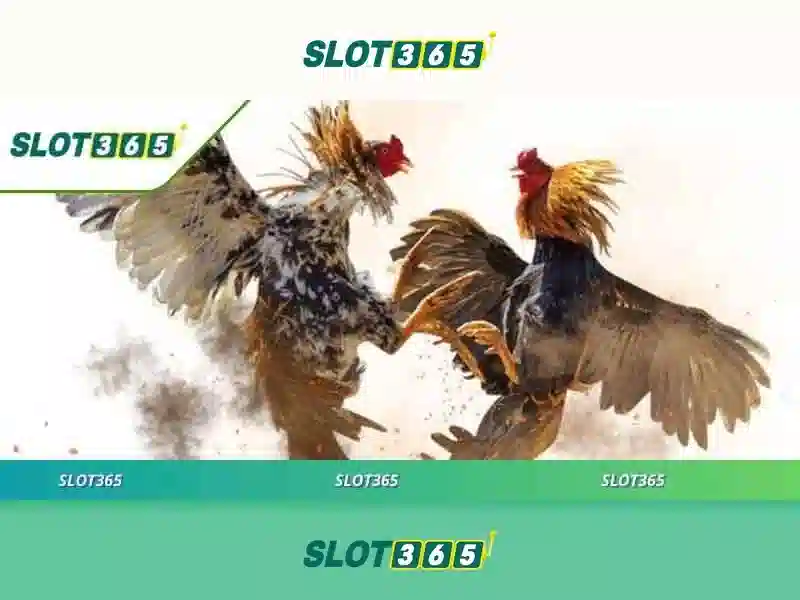 Slot365: Đánh giá nền tảng trò chơi trực tuyến