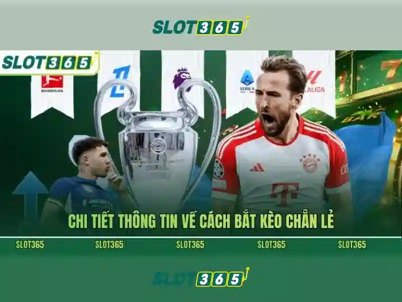 Slot365: Đánh giá nền tảng trò chơi slot trực tuyến nổi bật