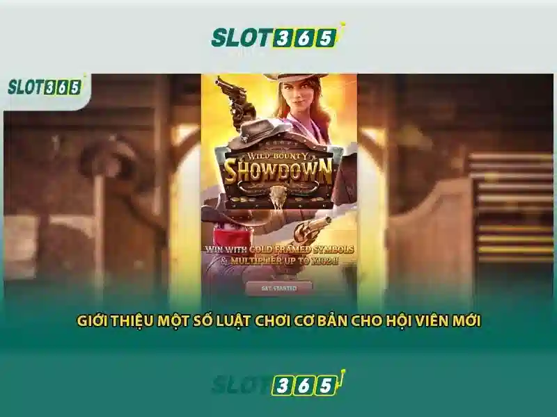 Slot365: Đánh giá và Hướng dẫn