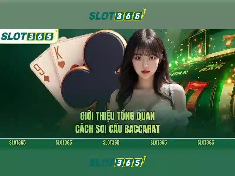 link Slot365 – Tổng quan, trải nghiệm và đánh giá