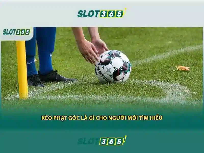 Đánh giá từ người chơi