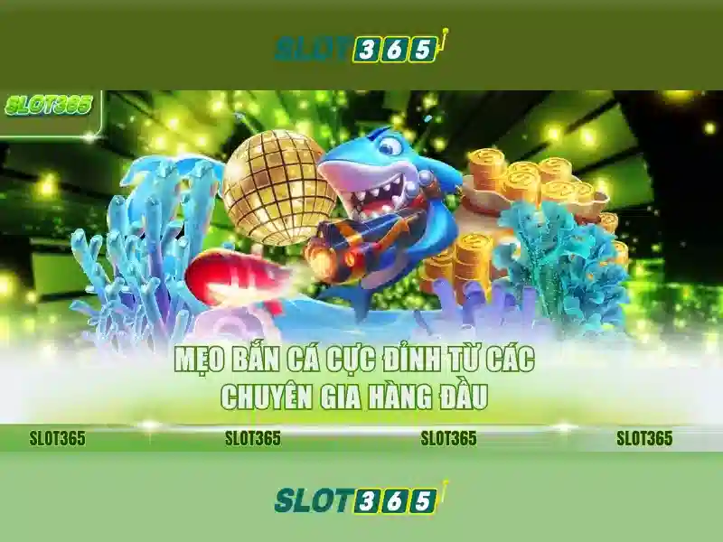 Slot365: Tổng quan về nền tảng casino trực tuyến nổi bật