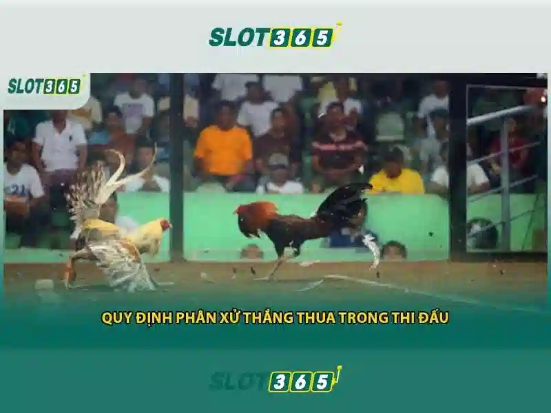 Slot365: Đánh giá nền tảng máy đánh bạc trực tuyến