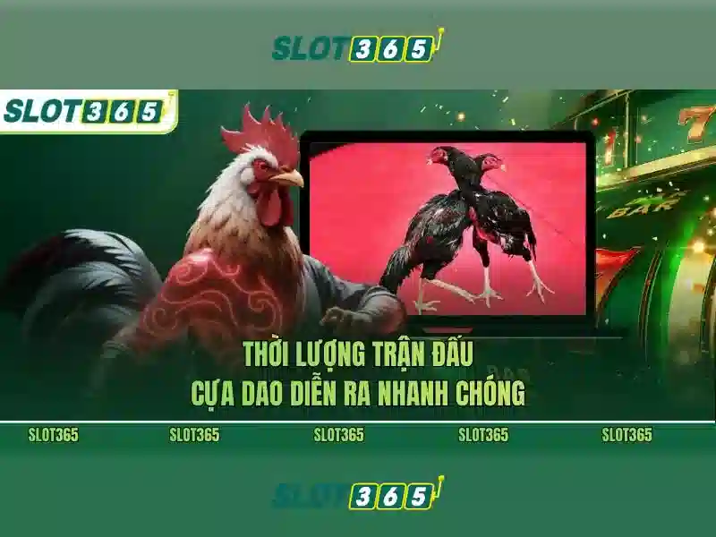 Slot365 – nền tảng slot trực tuyến uy tín và đa dạng