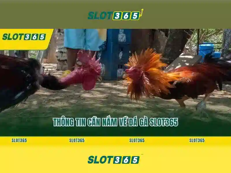 Slot365 - Nền tảng slot trực tuyến chất lượng