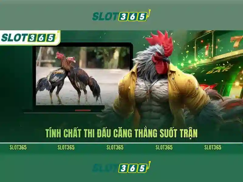 Lựa chọn cược và quản lý ngân sách