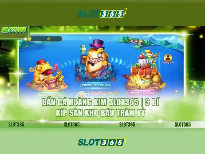 Giao diện người dùng và trải nghiệm