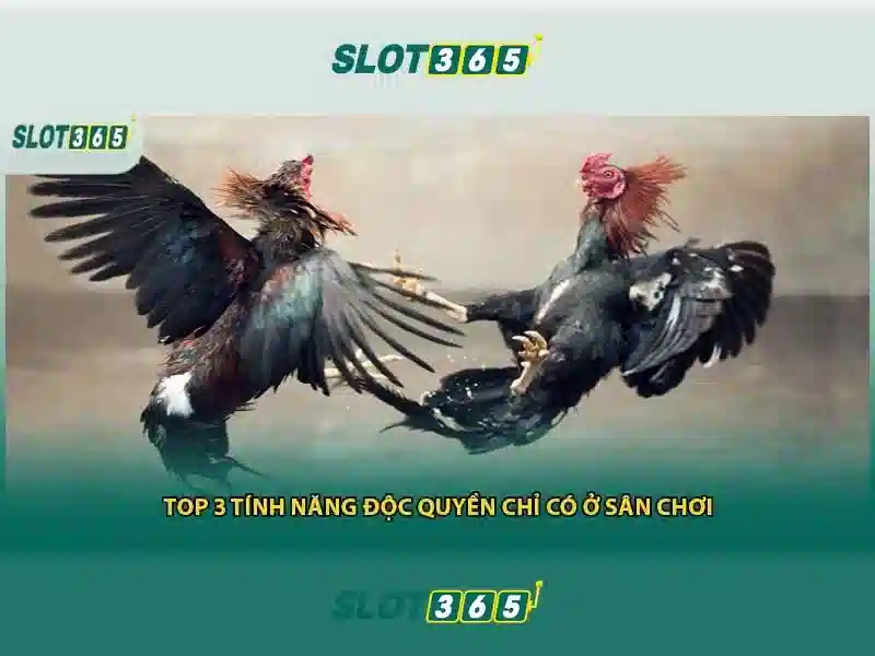 Slot365: Nền tảng slot trực tuyến hàng đầu cho người yêu casino