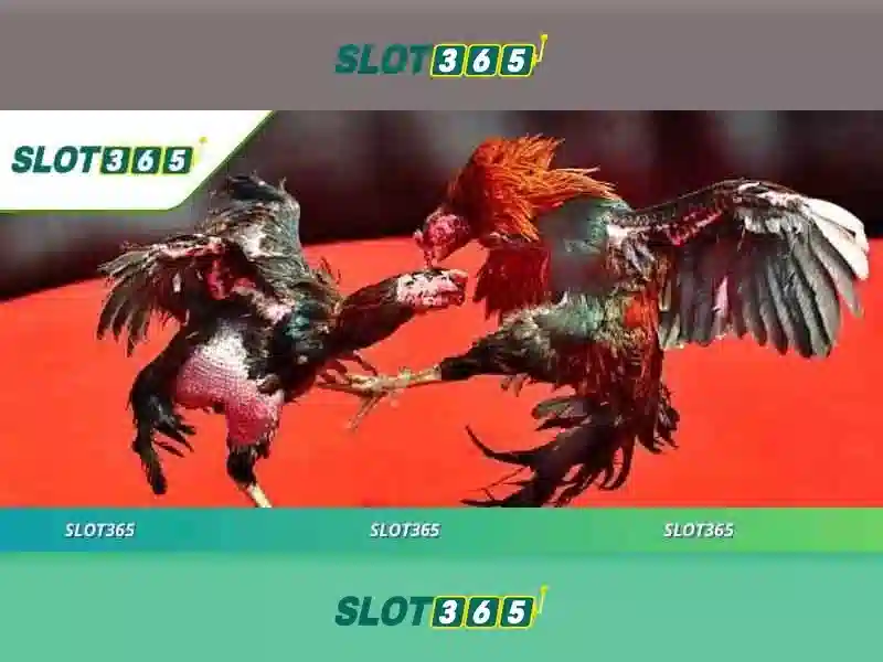 Slot365: Trải nghiệm trò chơi xèng trực tuyến hấp dẫn