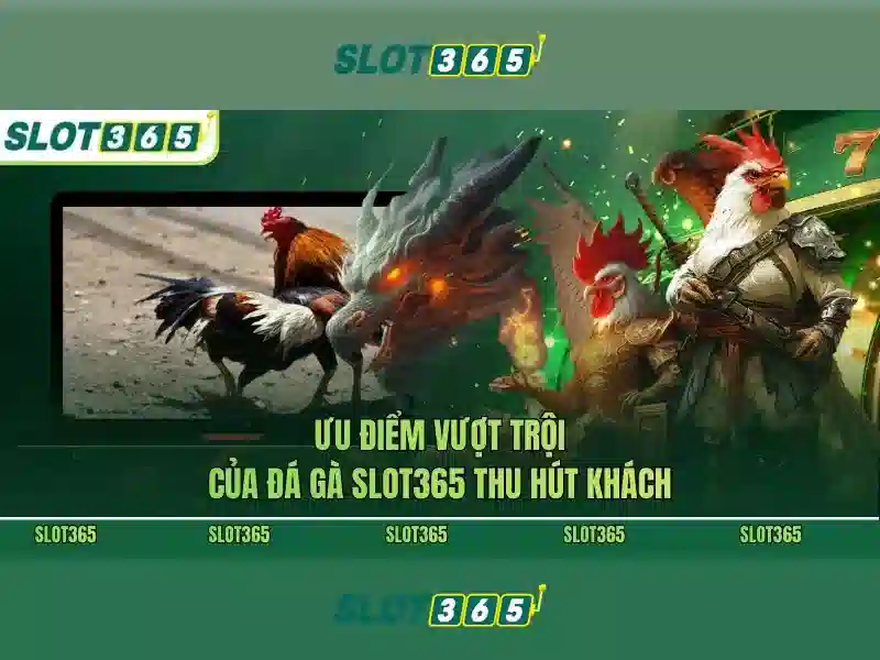 Giao diện và trải nghiệm người dùng Slot365