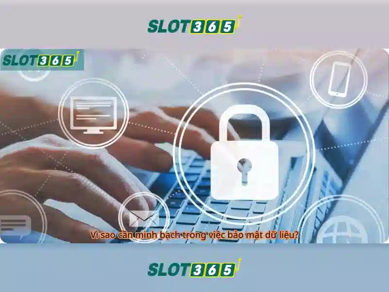 Slot365 - Trải nghiệm slot trực tuyến tuyệt vời