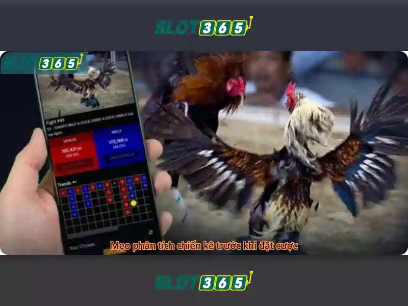Slot365: Đánh giá nền tảng đánh bạc trực tuyến uy tín