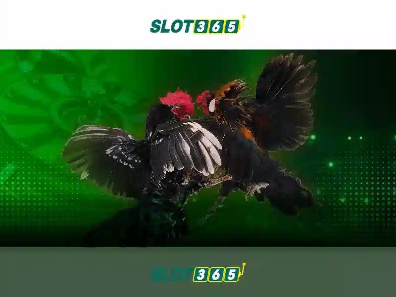 asia slot365 – Khám phá thương hiệu Slot365 và hành trình số hóa