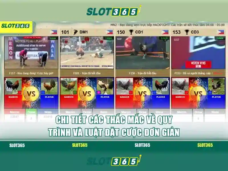 Trò chơi và danh mục