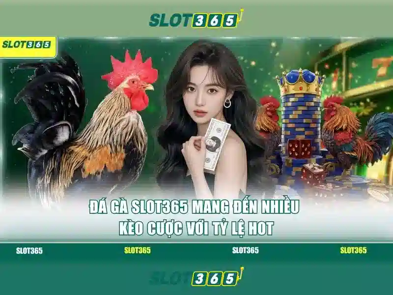 Trải nghiệm người chơi tại Slot365