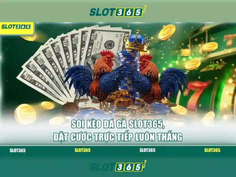 Trải nghiệm người dùng tại Slot365
