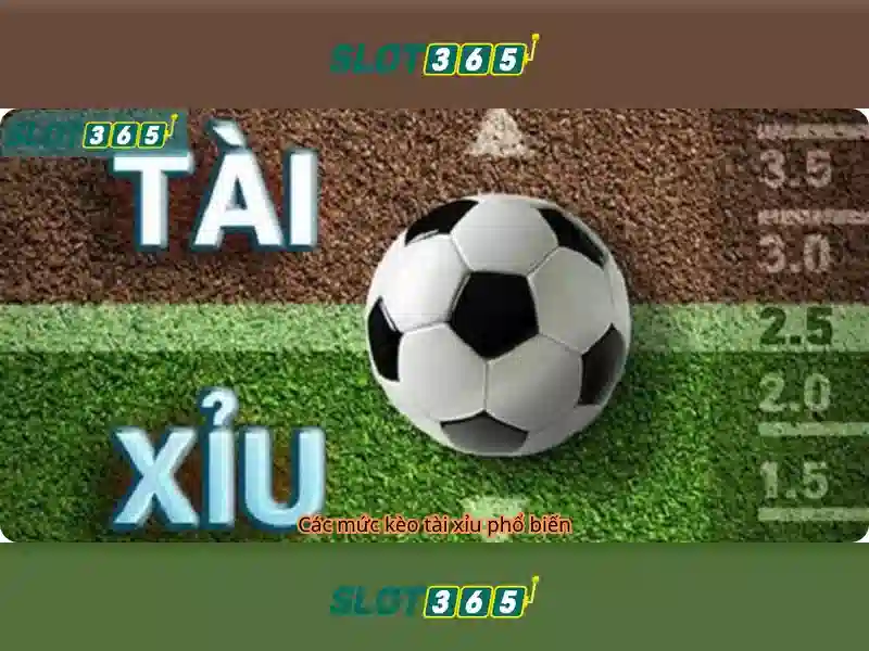 Slot365 - Tổng quan về nền tảng chơi slot trực tuyến