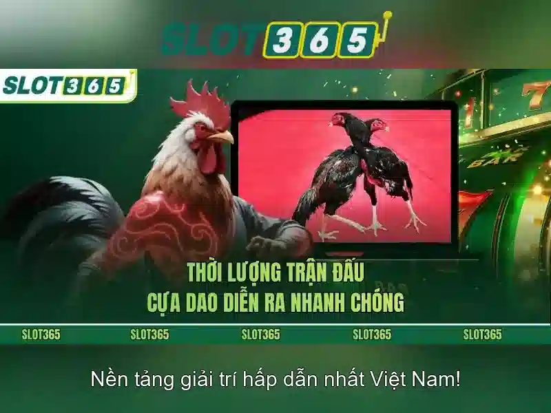 Slot365 hỗ trợ các phương thức thanh toán an toàn