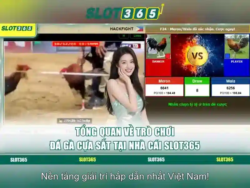 Khuyến mãi và chương trình thưởng