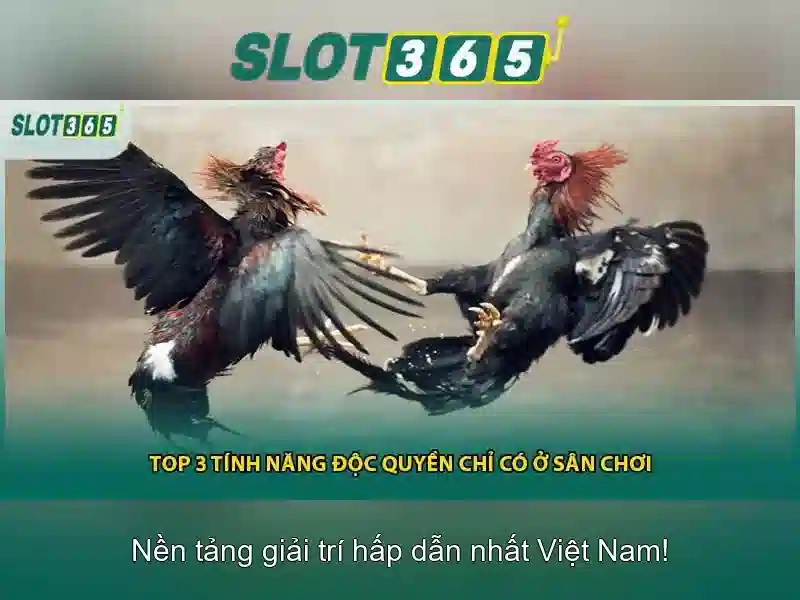 Slot365: Nền tảng trò chơi slot trực tuyến hàng đầu