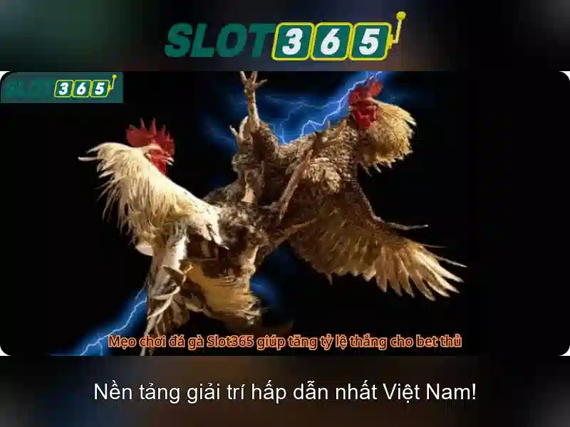 Nguồn gốc và sứ mệnh của slot365 rtp