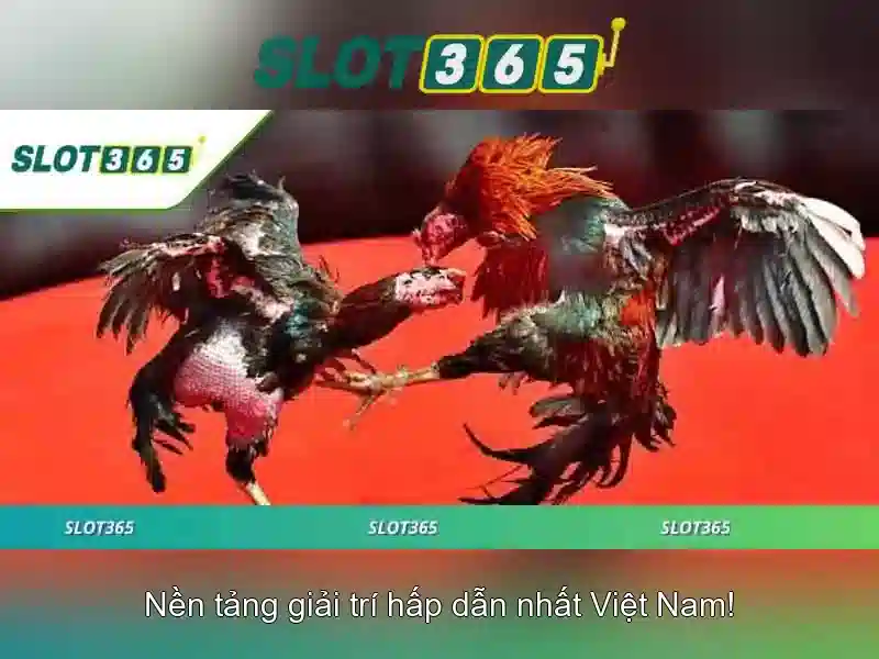 Slot365 - Tổng quan và Trải nghiệm người chơi