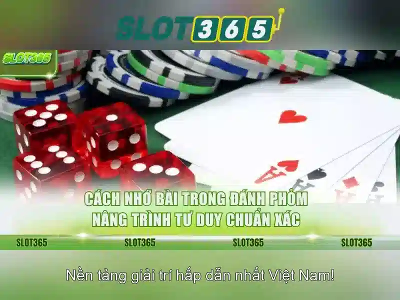 Giao diện và trải nghiệm người dùng