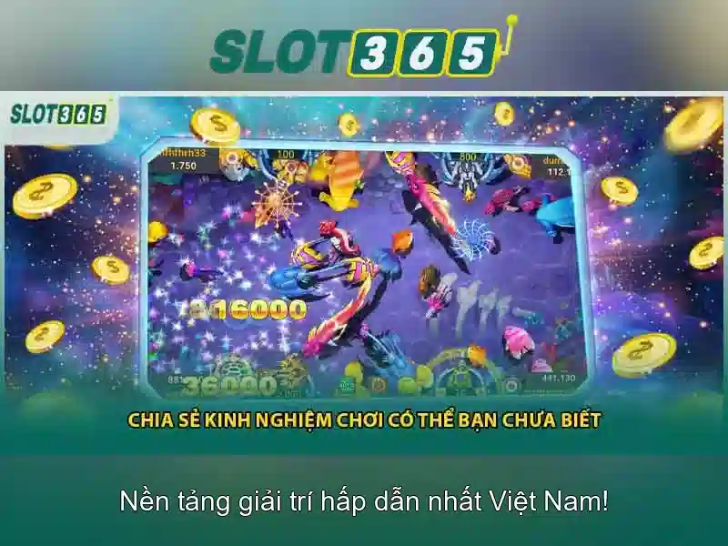 Kết luận và khuyến nghị