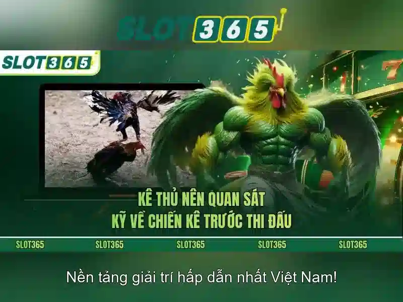 Slot365 - Nền tảng chơi khe trực tuyến hàng đầu