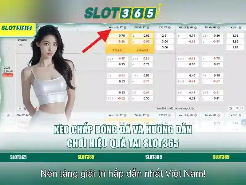Slot365: Khám phá nền tảng đánh bạc trực tuyến
