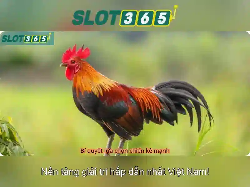 Giới thiệu về Slot365