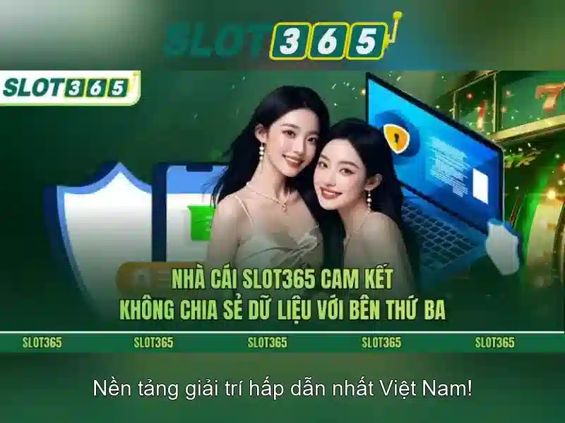 Nền tảng và giao diện