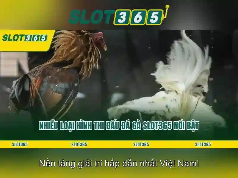 Slot365: Trò chơi máy đánh bạc trực tuyến hàng đầu