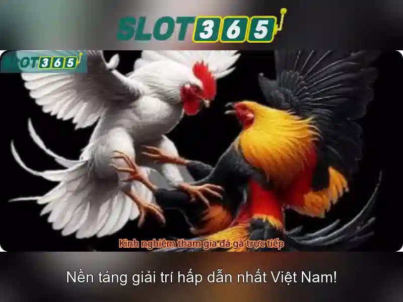 Slot365 - Nền tảng slot trực tuyến hàng đầu tại Việt Nam