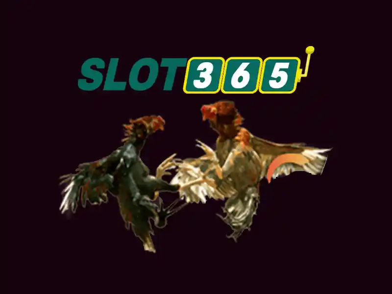 Slot365: Đánh giá nền tảng slot trực tuyến và trò chơi slots