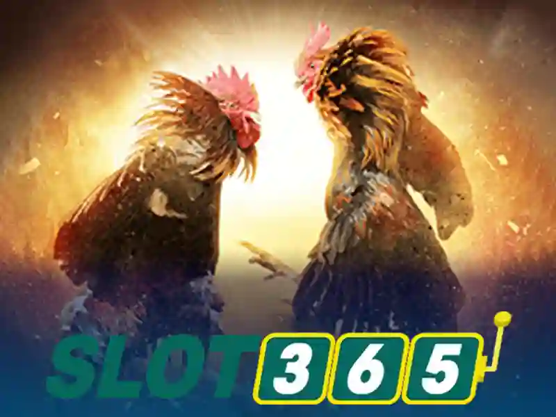 Slot365: Khám phá nền tảng slot trực tuyến phổ biến