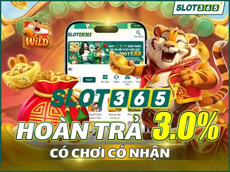 Cài đặt và trải nghiệm người dùng