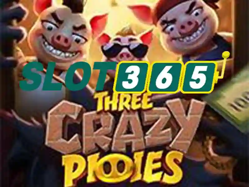 Slot365 là gì